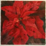 Poinsettia, watercolor painting