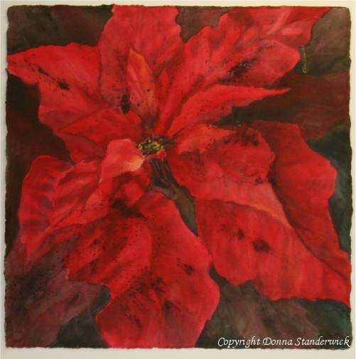 Poinsettia, watercolor painting