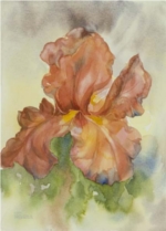 Iris Series - I